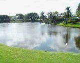 Lake Floresta