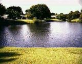 Lake Floresta